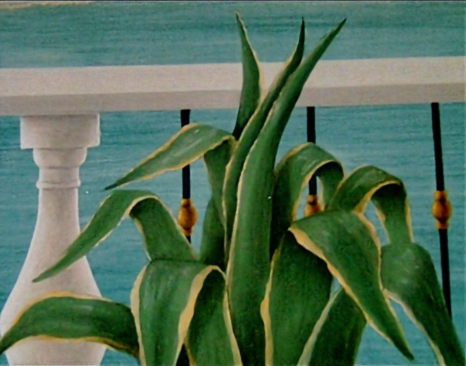 agave